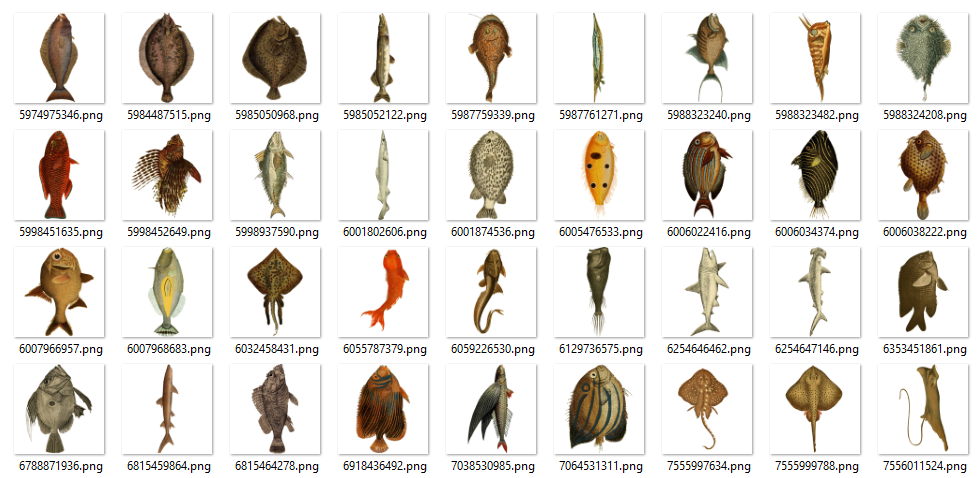 A screenshot of a folder of 36 illustrated fish images