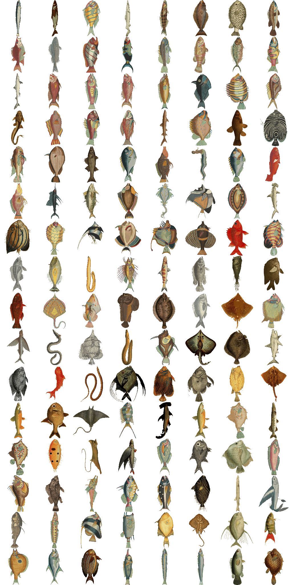 A grid of illustrated fish in 8 columns by 16 rows